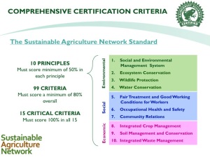 rainforest alliance certification