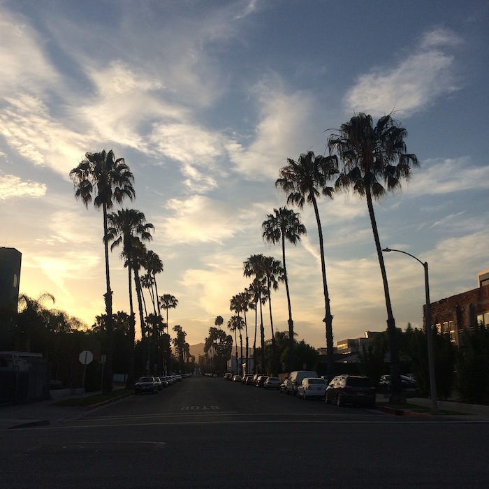 One year in Los Angeles: How moving shapes me