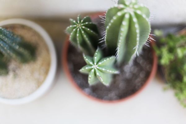 EWG SKIN DEEP DATABASE FREE visual data 4